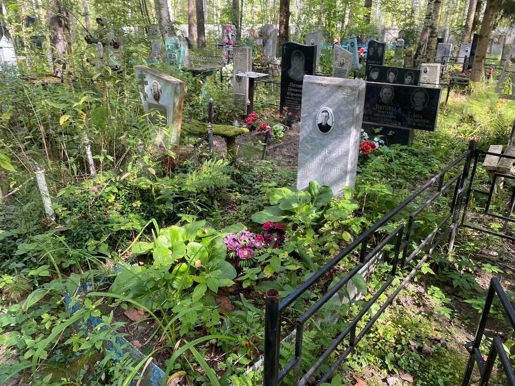 Моисеев Петр Васильевич