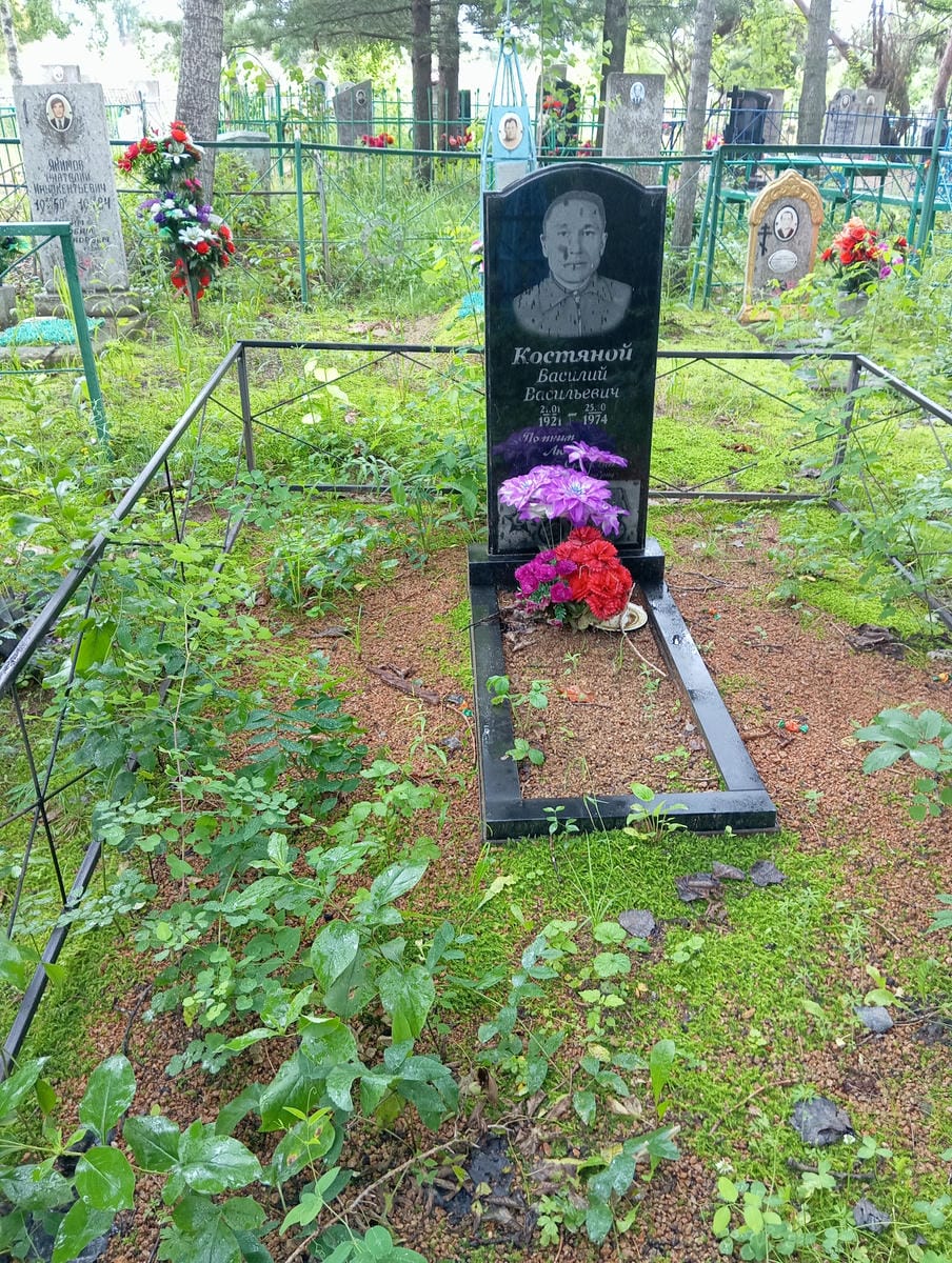 Костяной Василий Васильевич