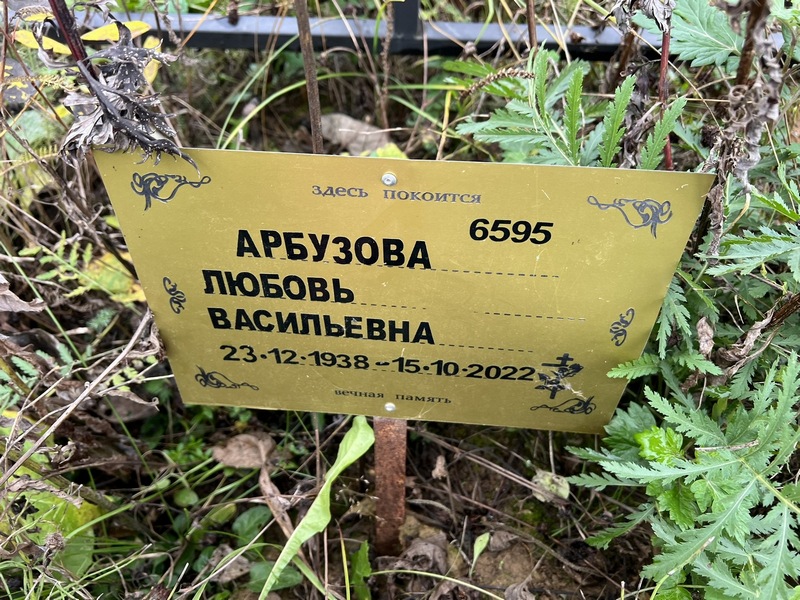 Арбузова