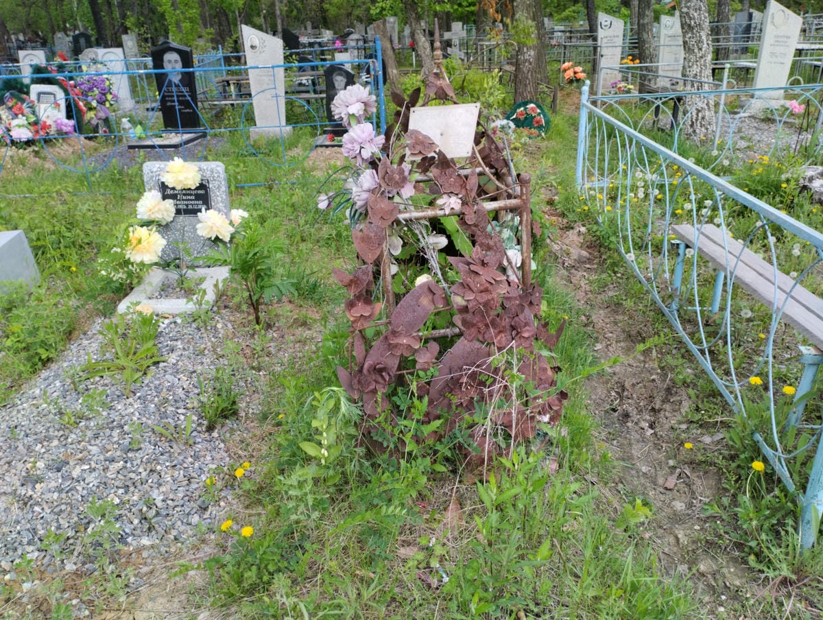 Кривовид Екатерина Анатольевна