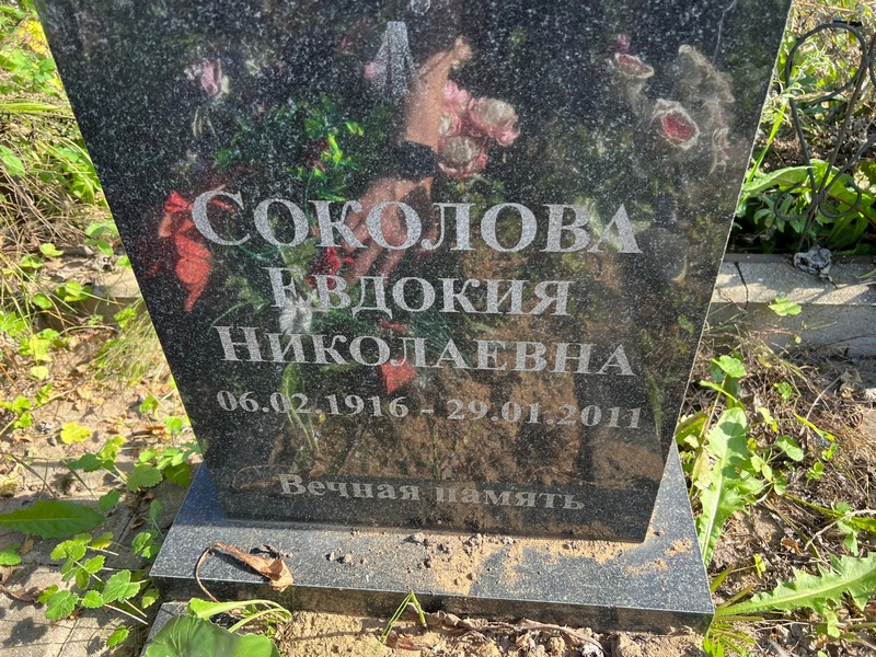 Соколова