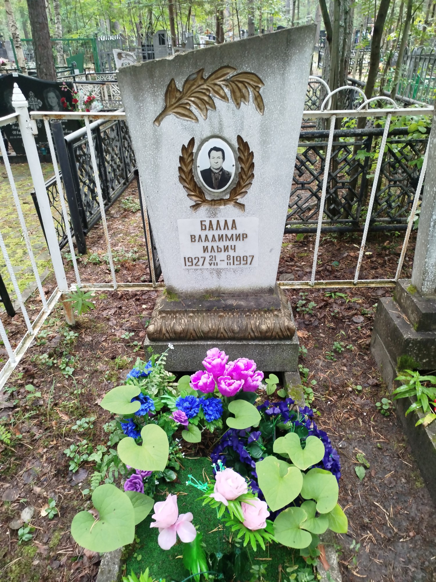 Балла Владимир Ильич