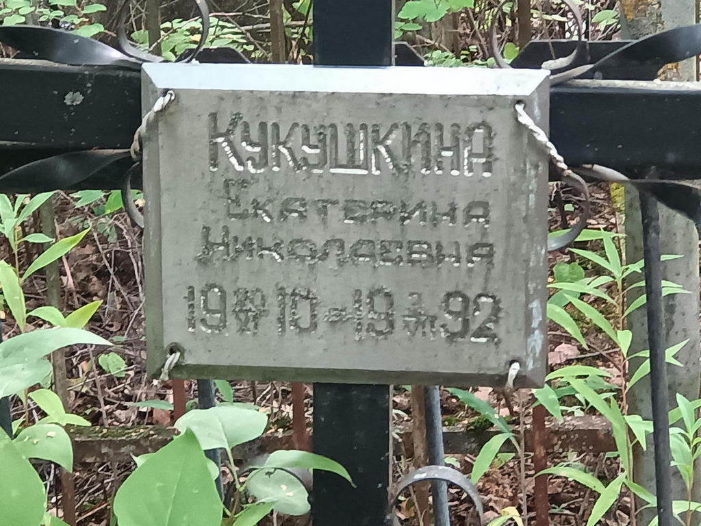 Кукушкина Екатерина Николаевна