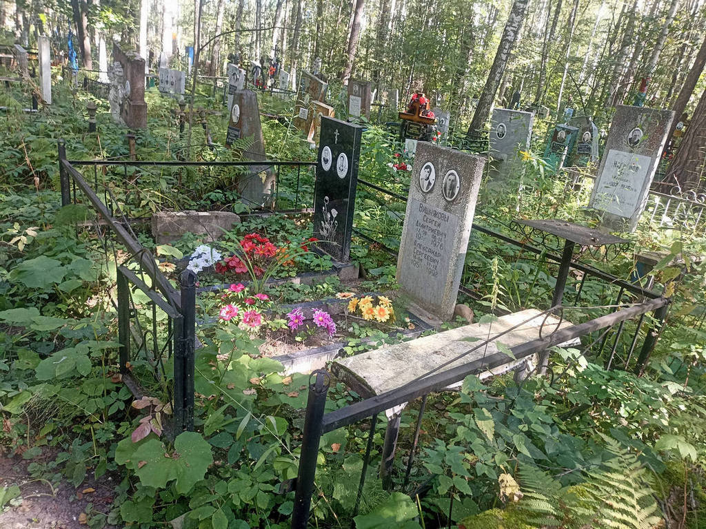 Вишняков Анатолий Сергеевич