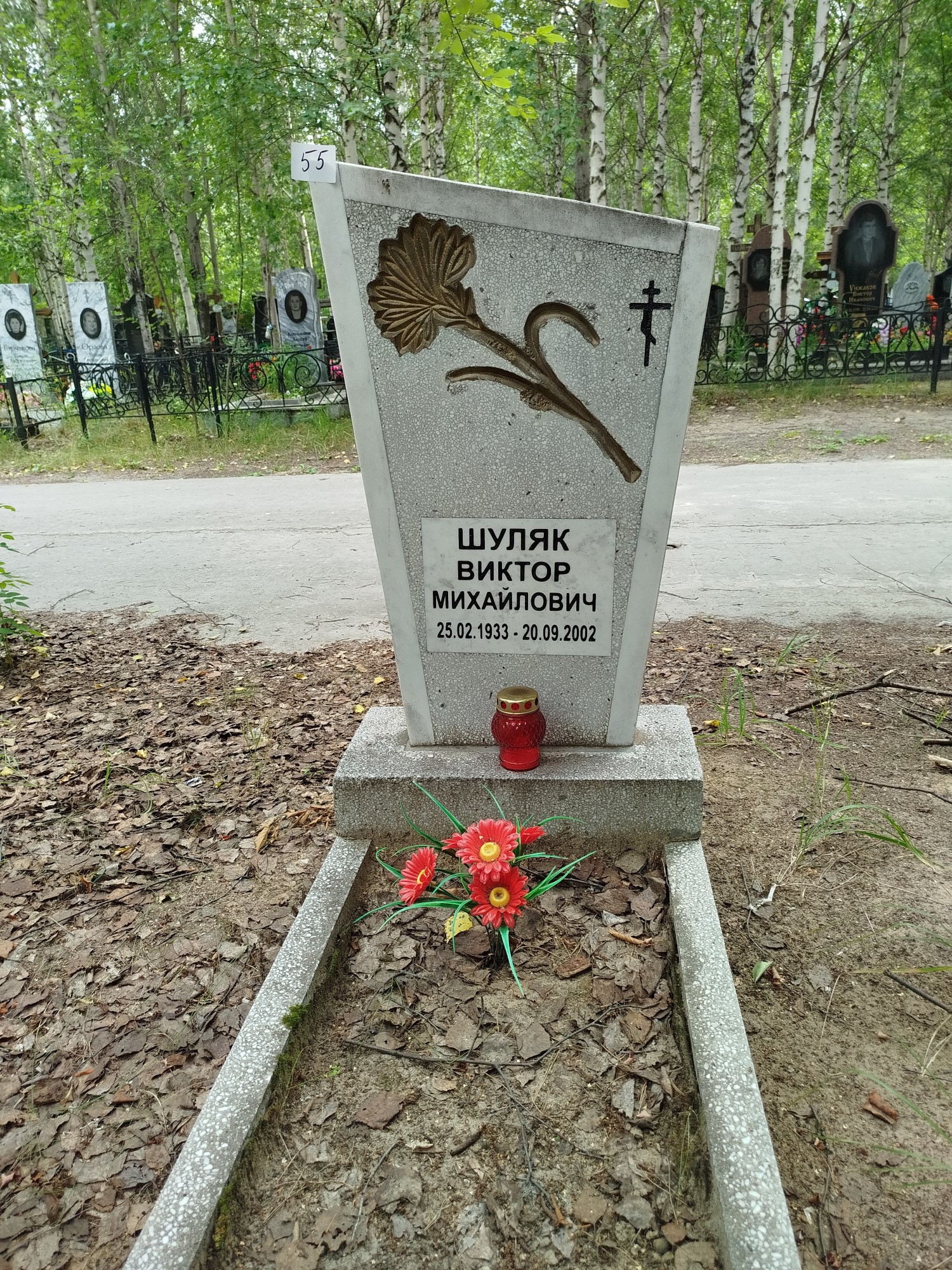 Шуляк Виктор Михайлович
