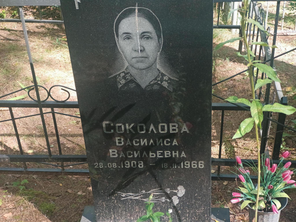 Соколова Василиса Васильевна