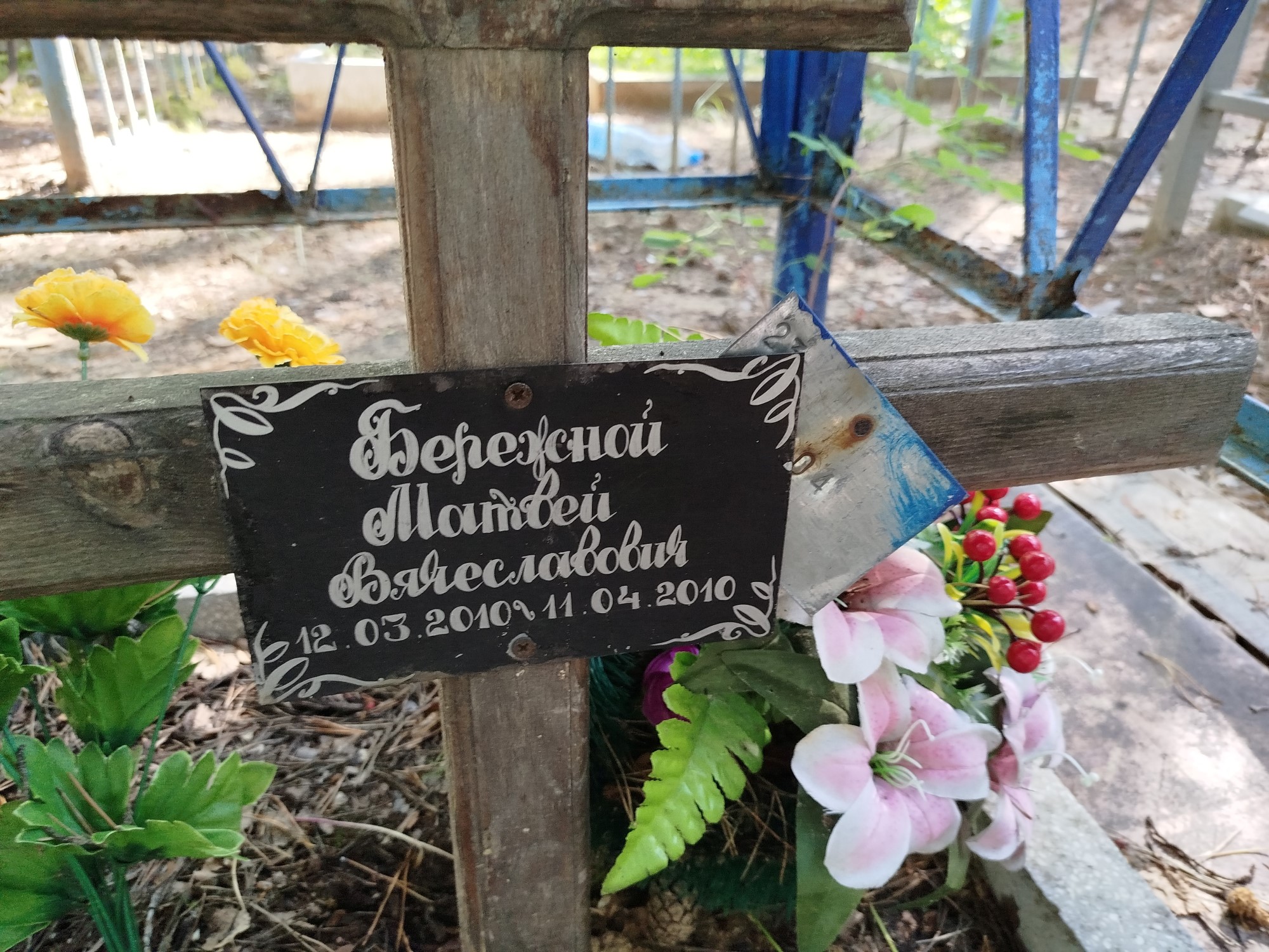 Бережной Матвей Вячеславович