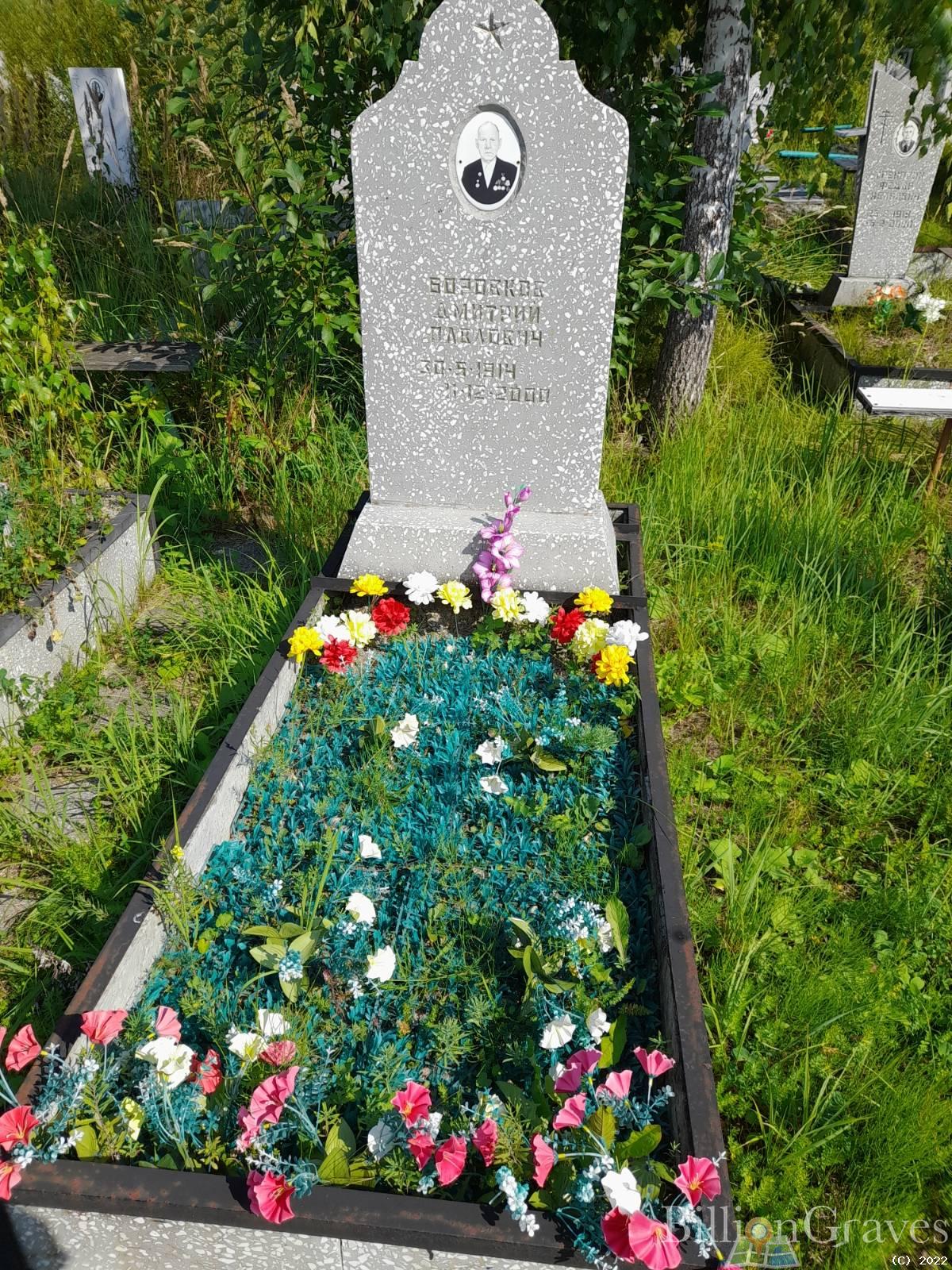 Боровков Дмитрий Павлович