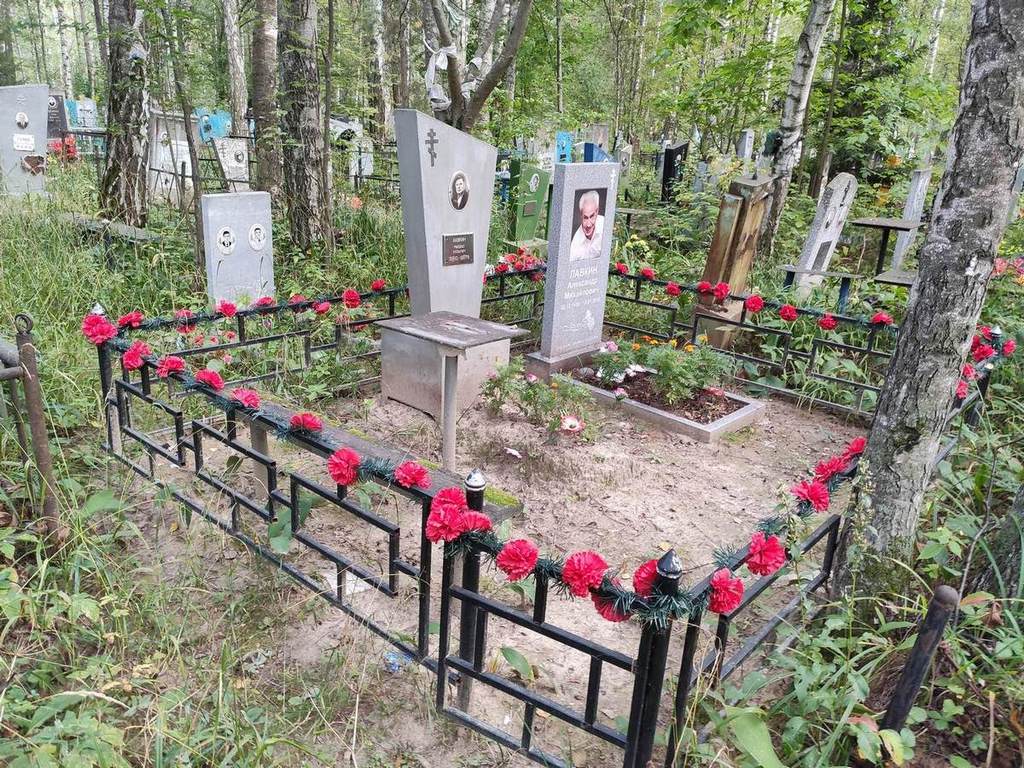 Лавкин Александр Михайлович