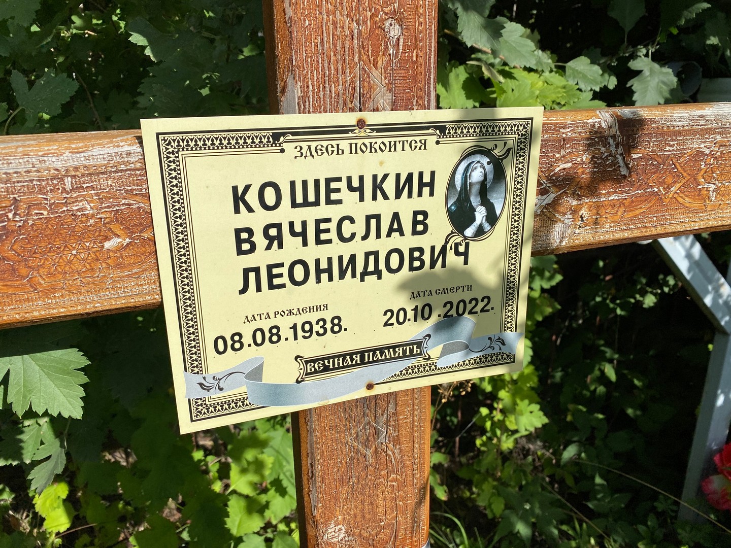 Кошечкин