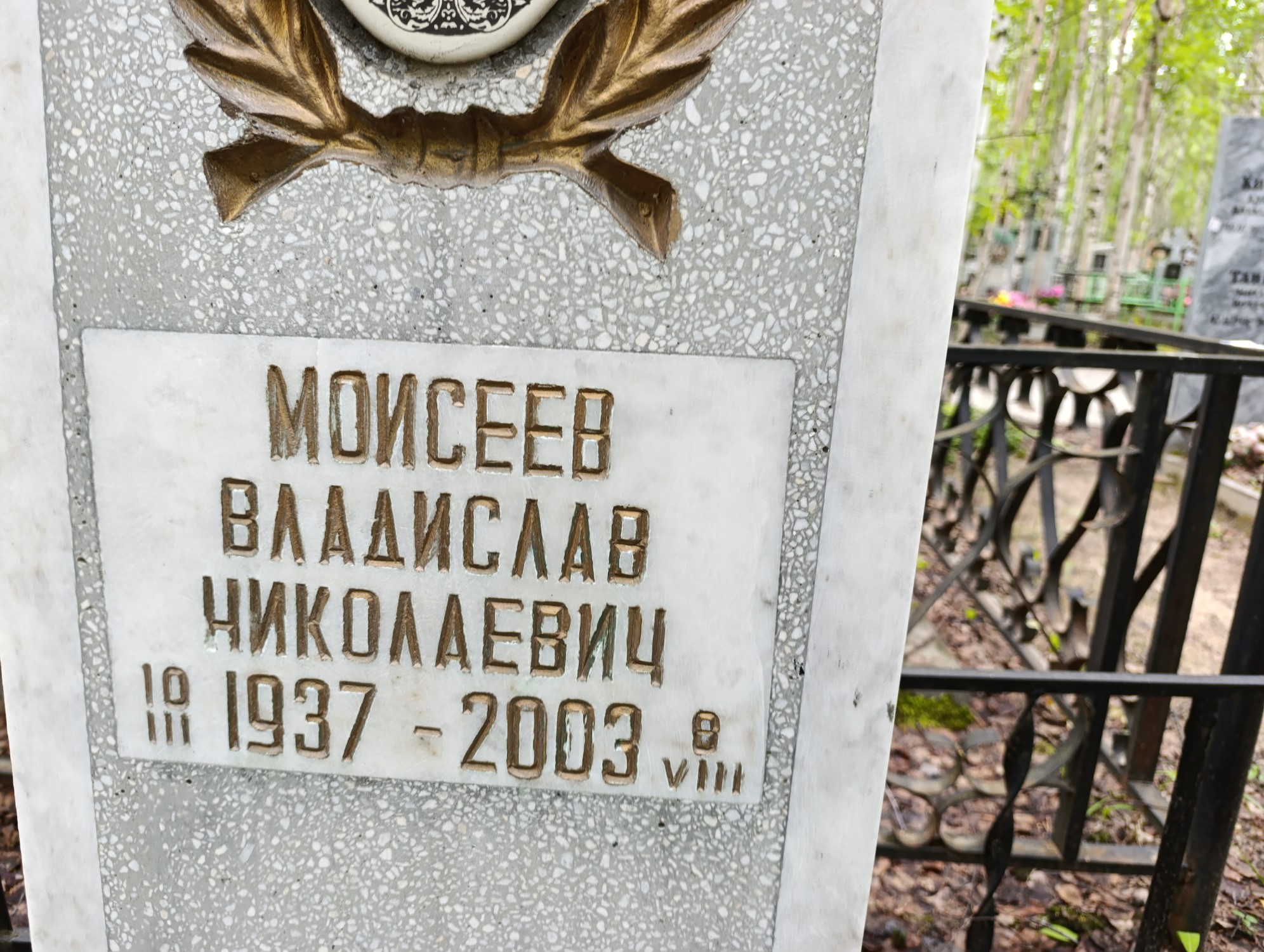 Моисеев Владислав Николаевич