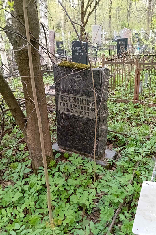 Березинская Лия Давидовна