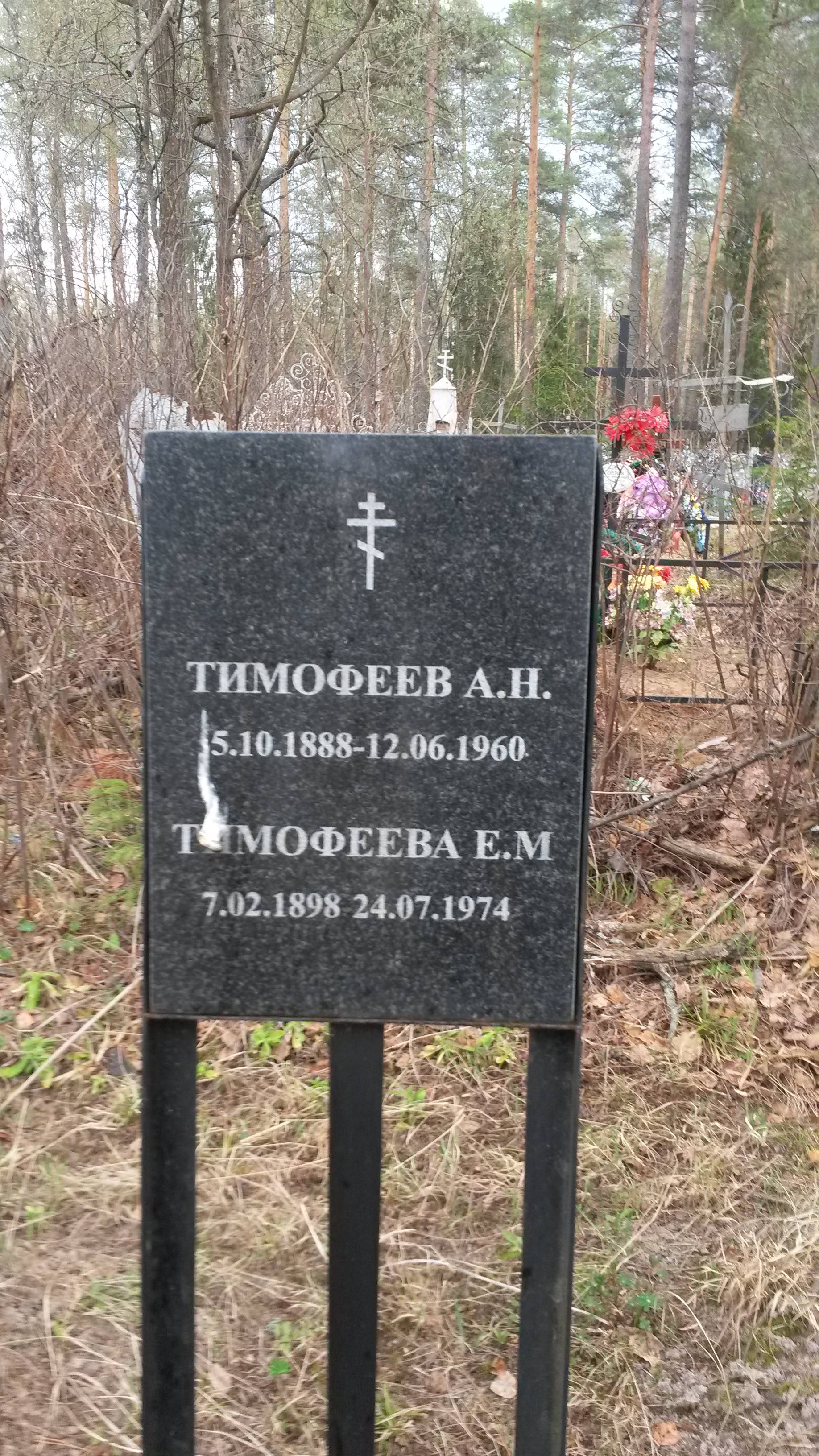 Тимофеева Е М