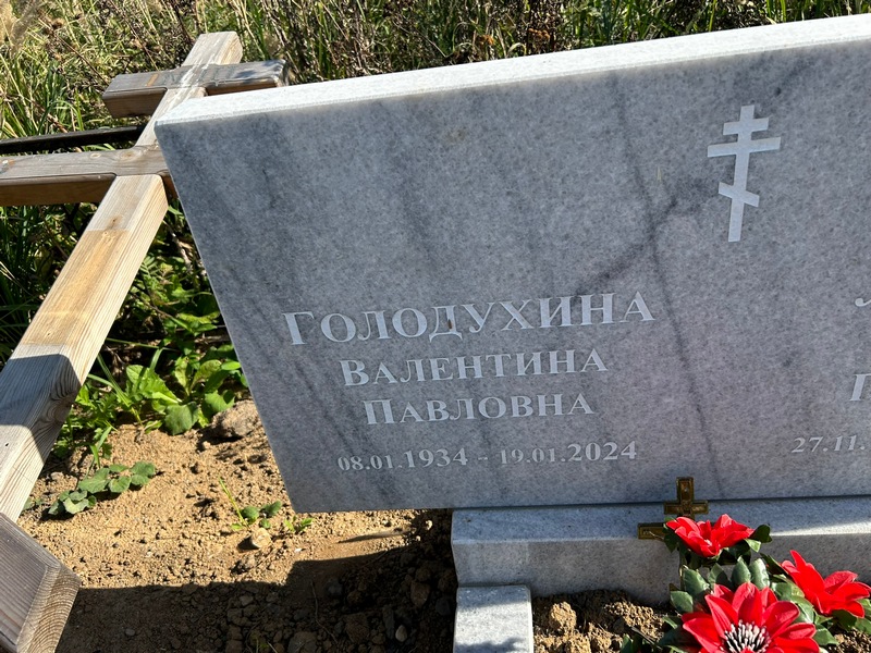 Голодухина