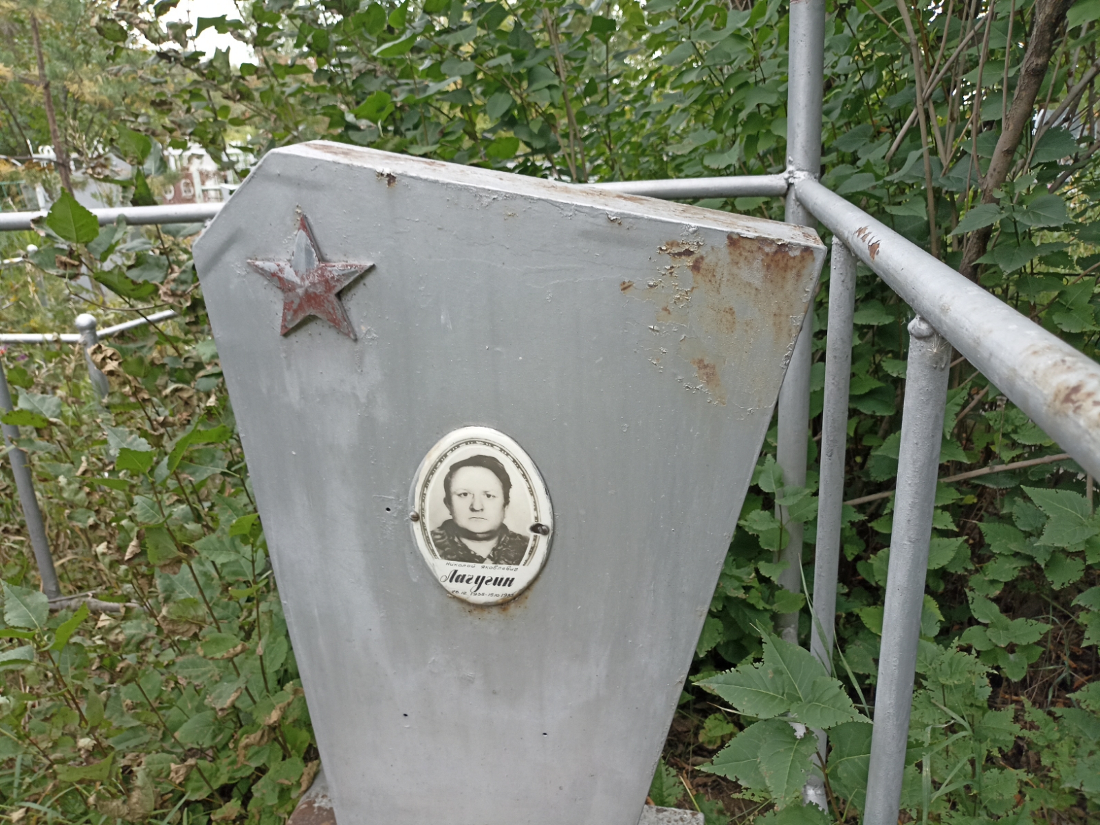 Лачугин Николай Яковлевич