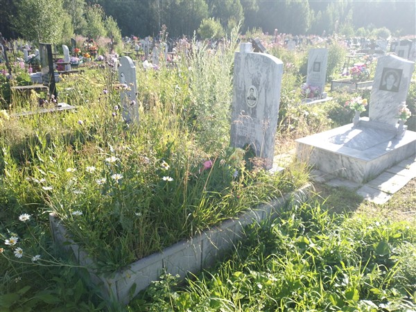 Просвиряков Алексей Александрович