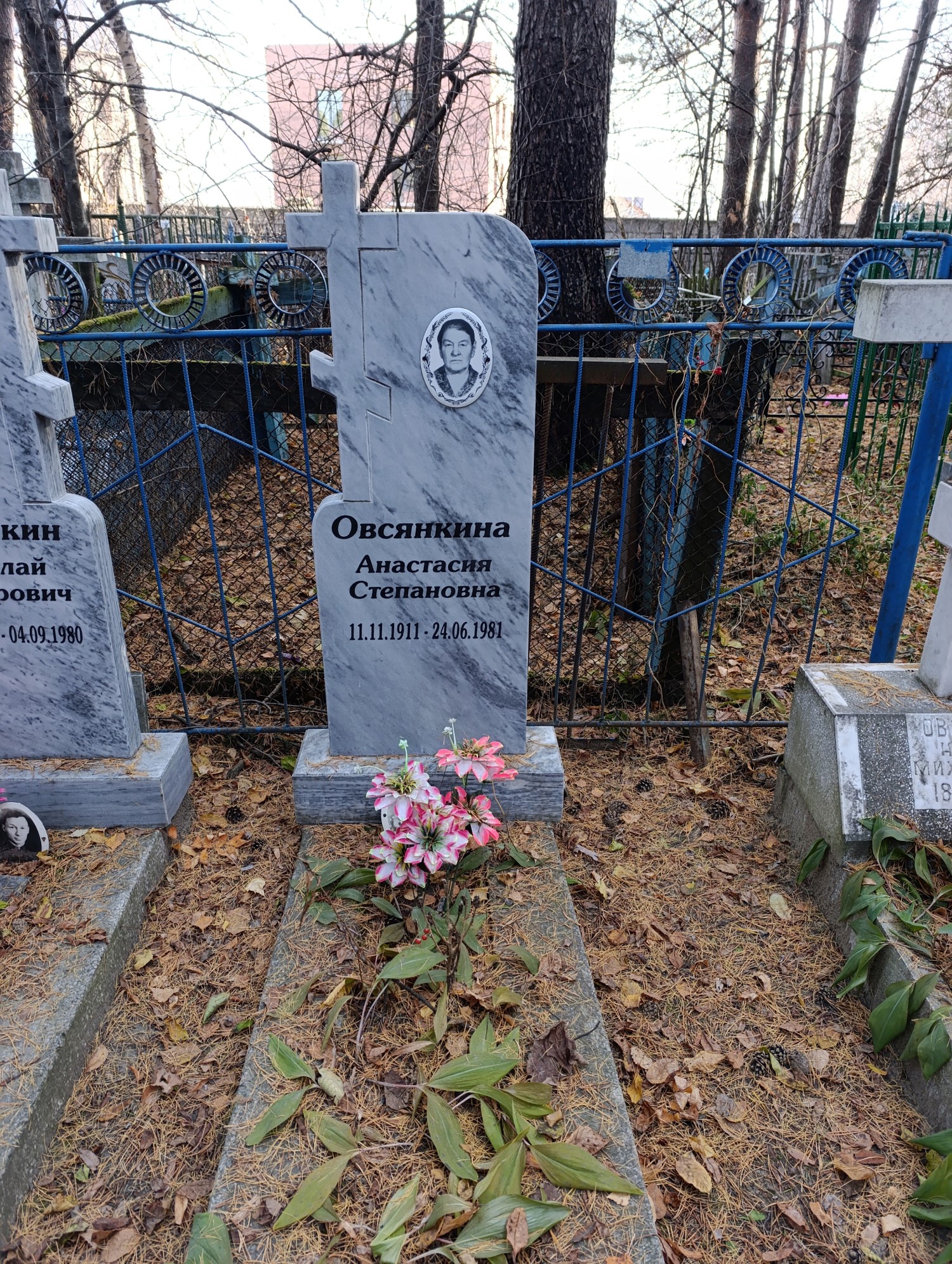Овсянкина Анастасия Степановна