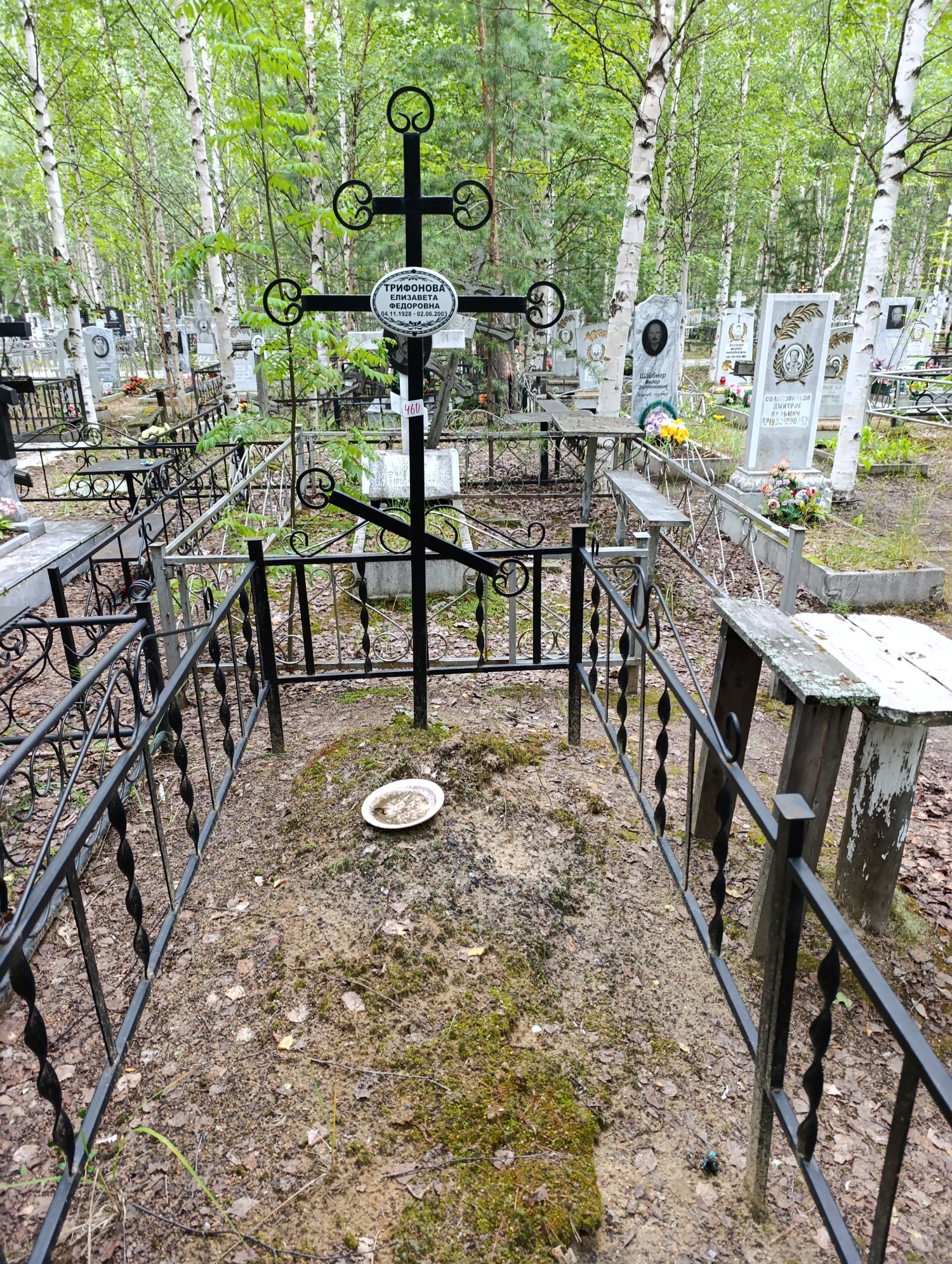Трифонова Елизавета Федоровна