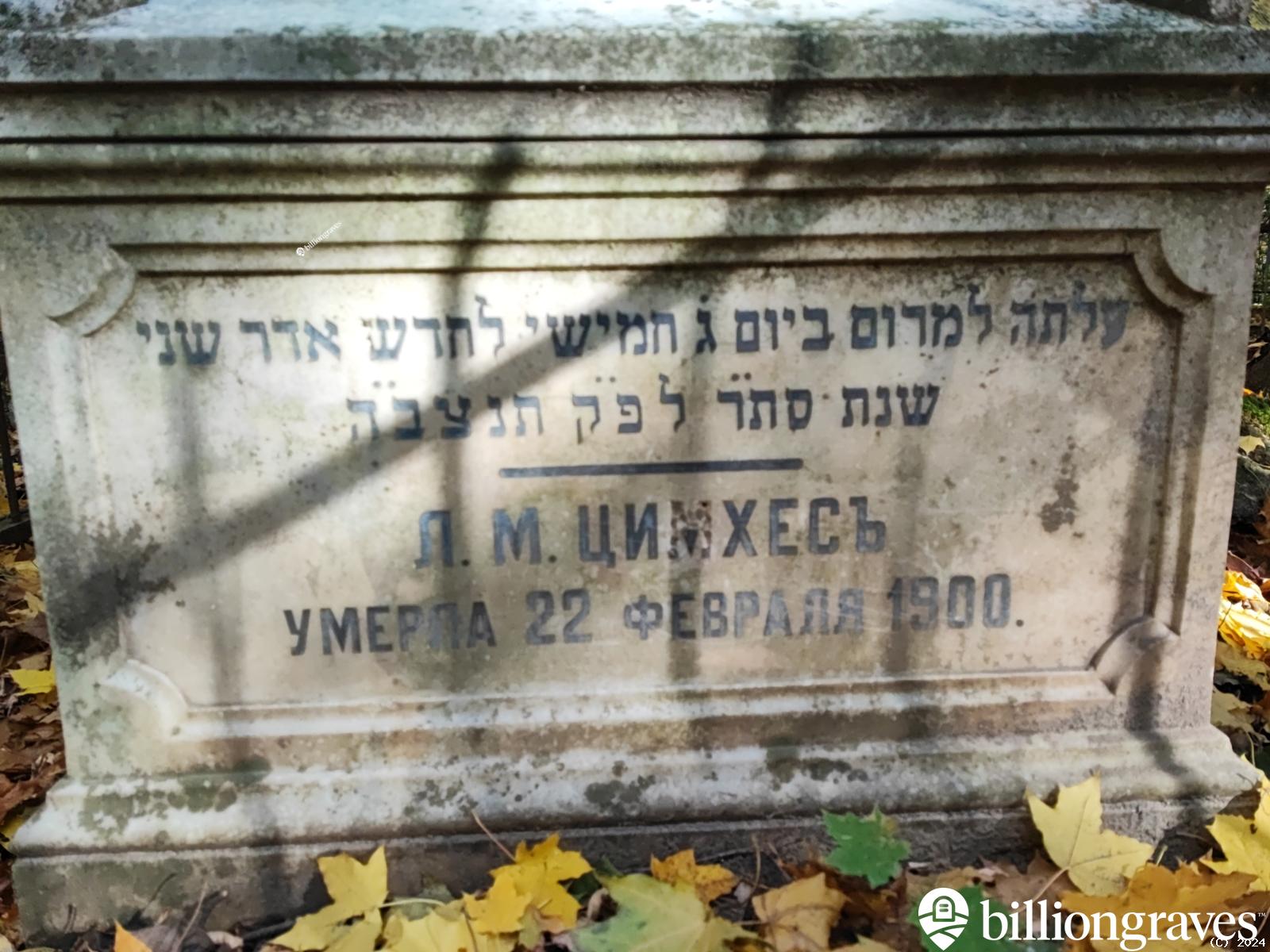 Цимхес Лея Моисеевна