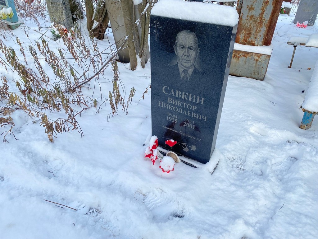 Савкин Виктор Николаевич