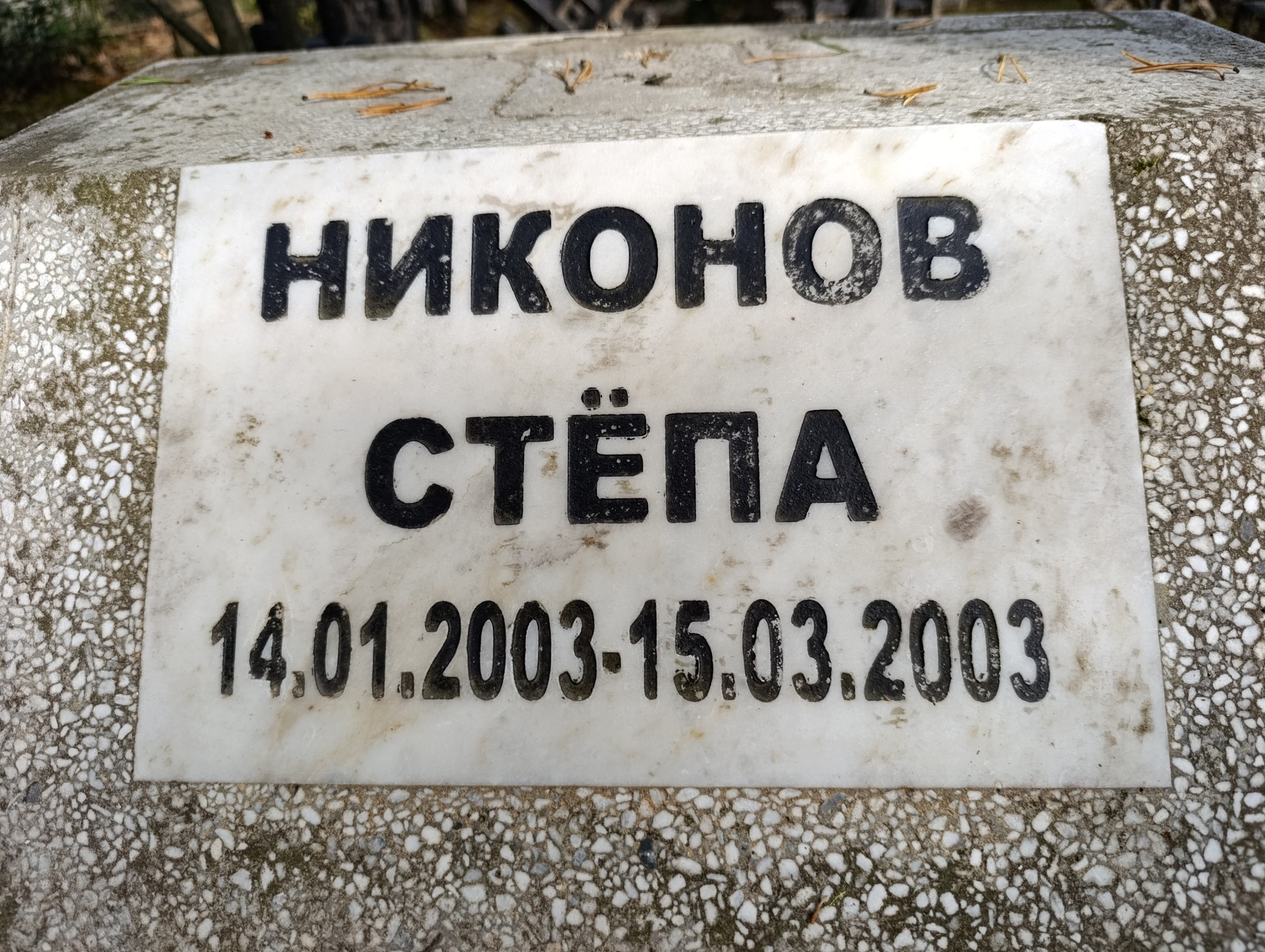 Никонов Степан