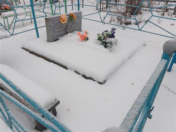 Суржик Анна Васильевна