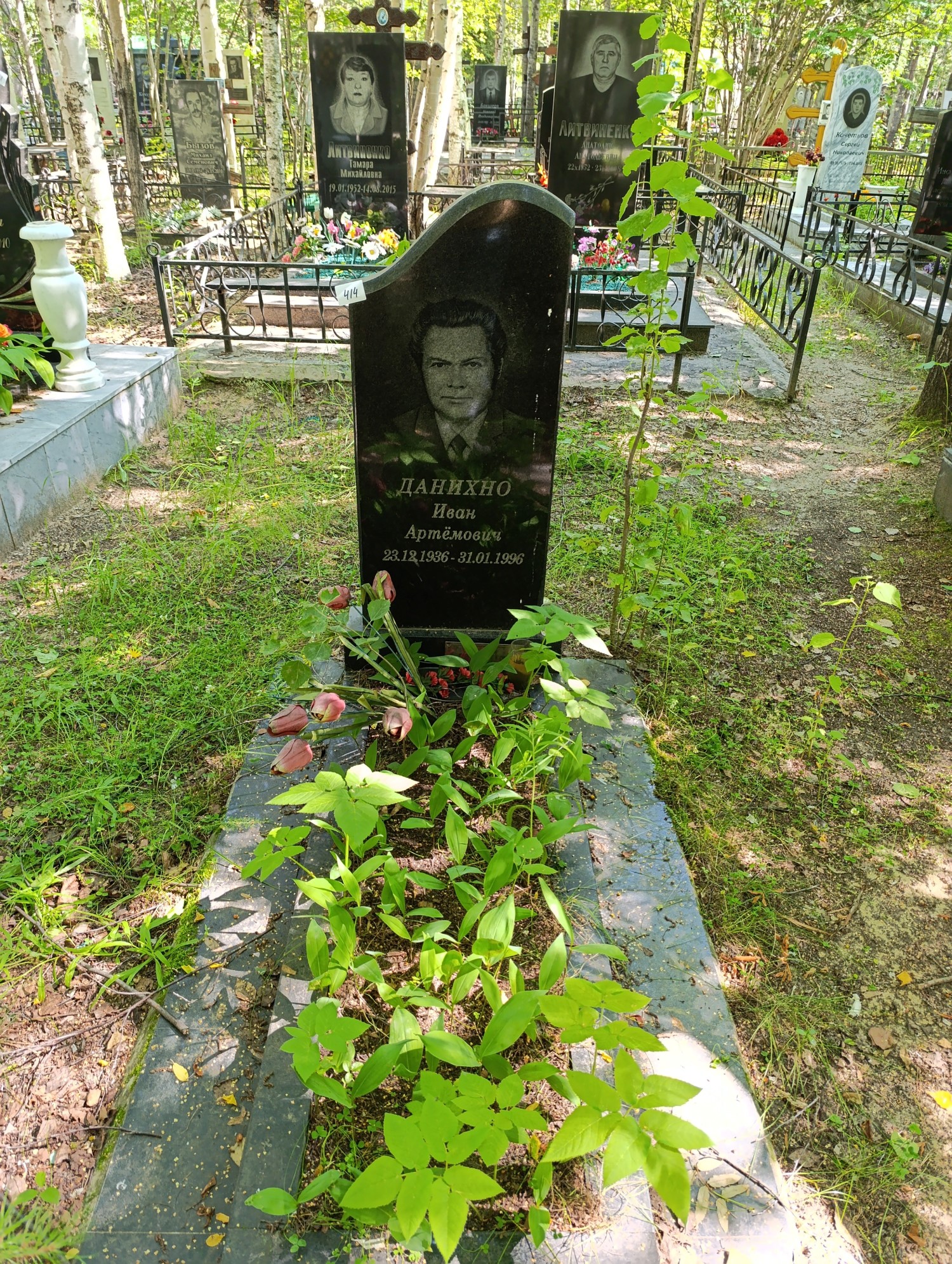 Данихно Иван Артемович