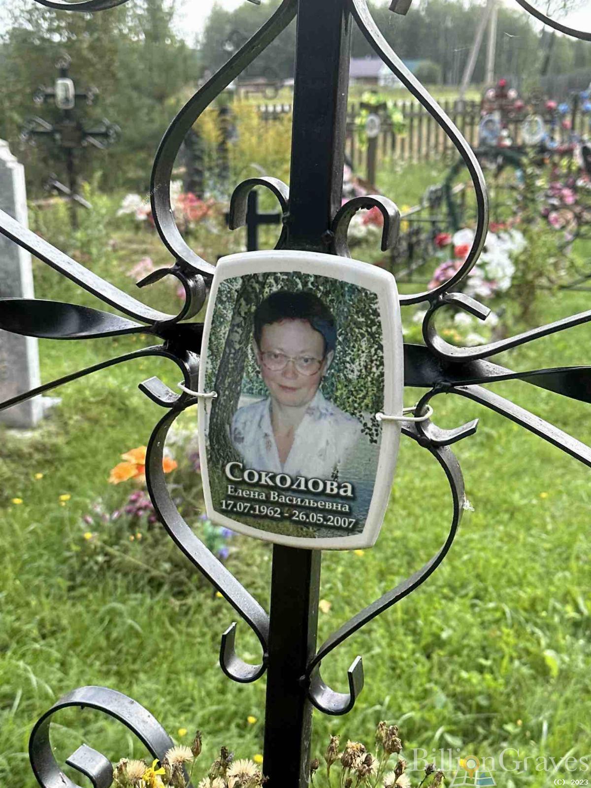 Соколова Елена Васильевна