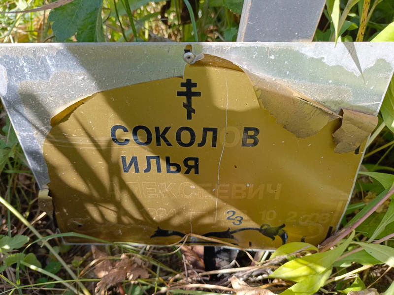 Соколов
