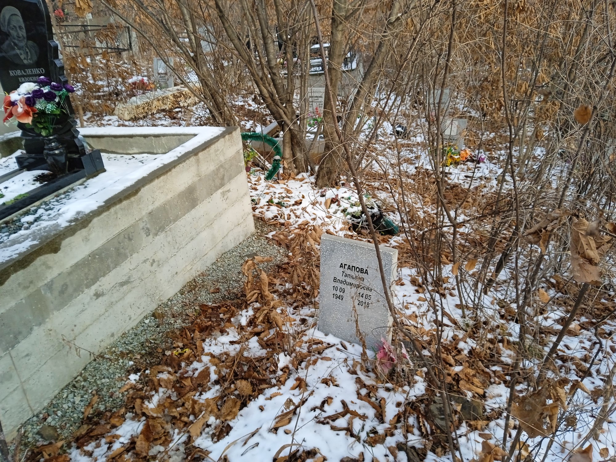 Агапова Татьяна Владимировна