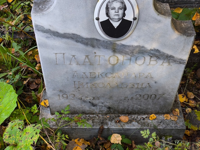 Платонова Александра Николаевна
