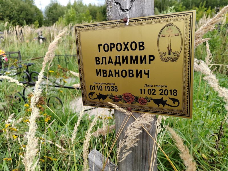 Горохов