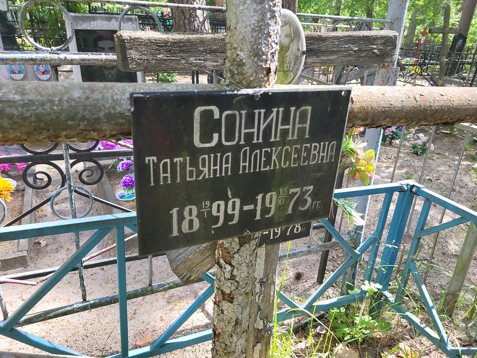 Сонина Татьяна Алексеевна