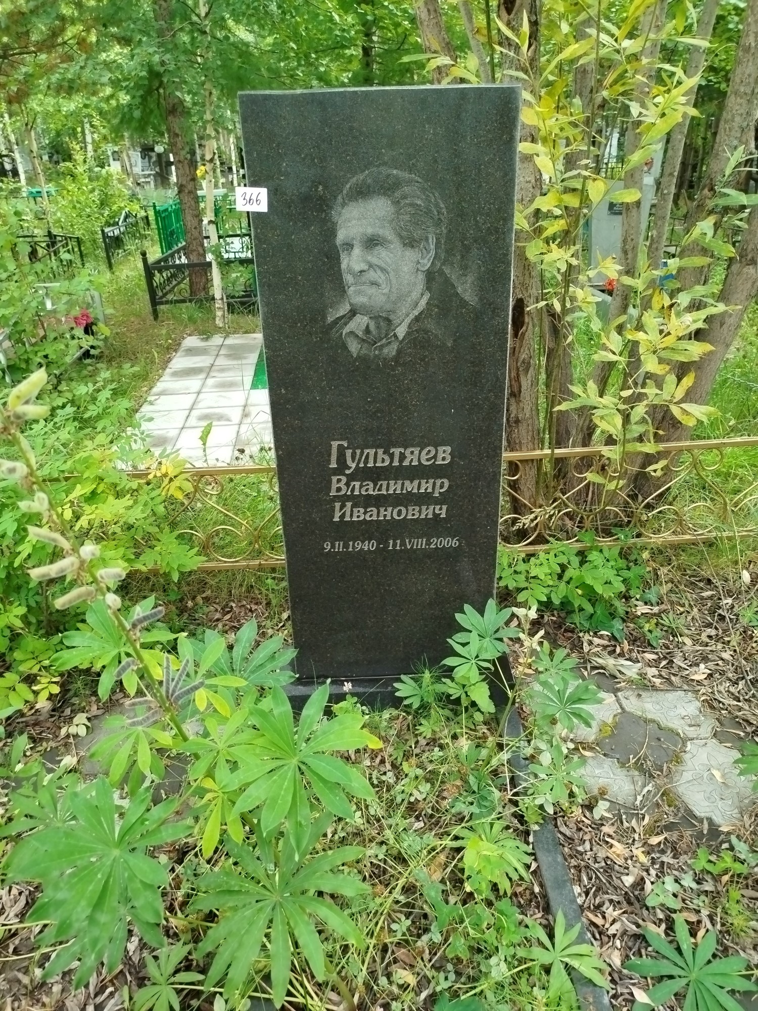 Гультяев Владимир Иванович
