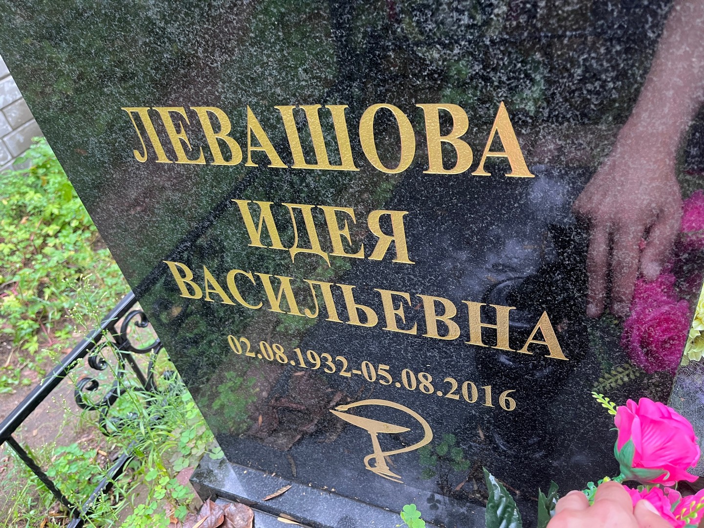 Идея Левашова Васильевна