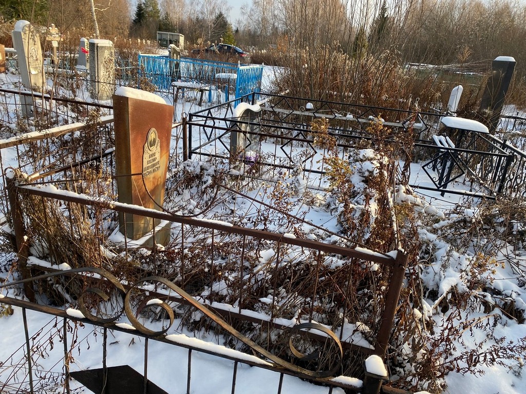Борн Виктор Генрихович