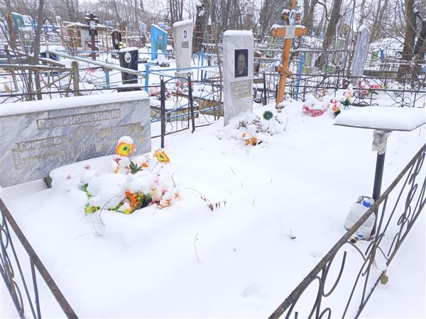 Семиколенных Аанатолий Ферапонтовна