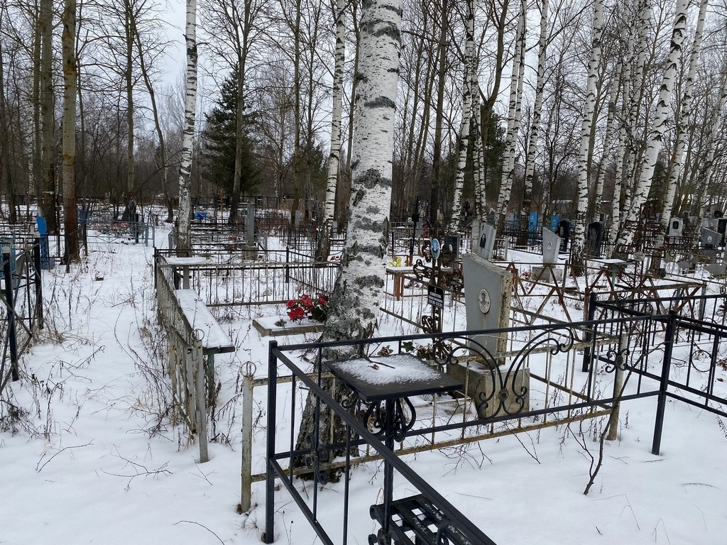 Воеводина Анастасия Андреевна