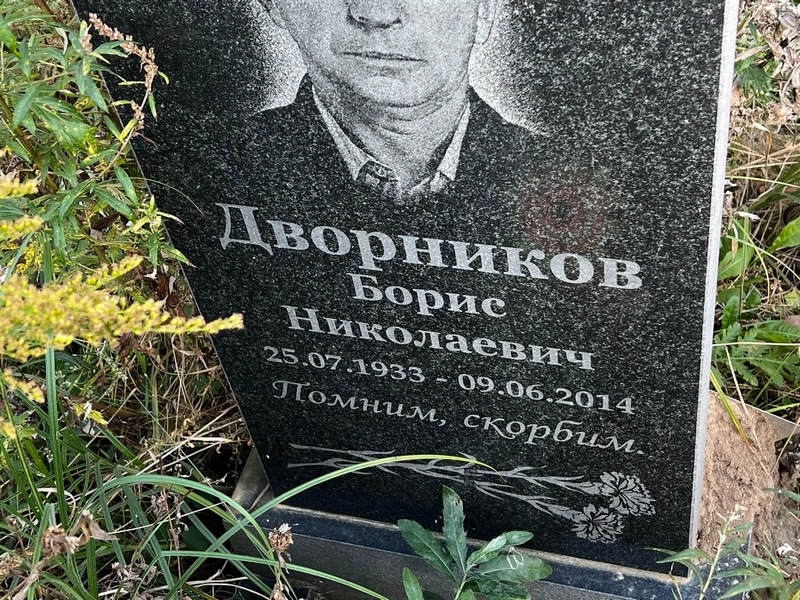 Дворников