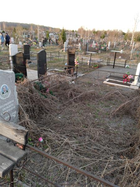 Шибельбеин Александр Александрович