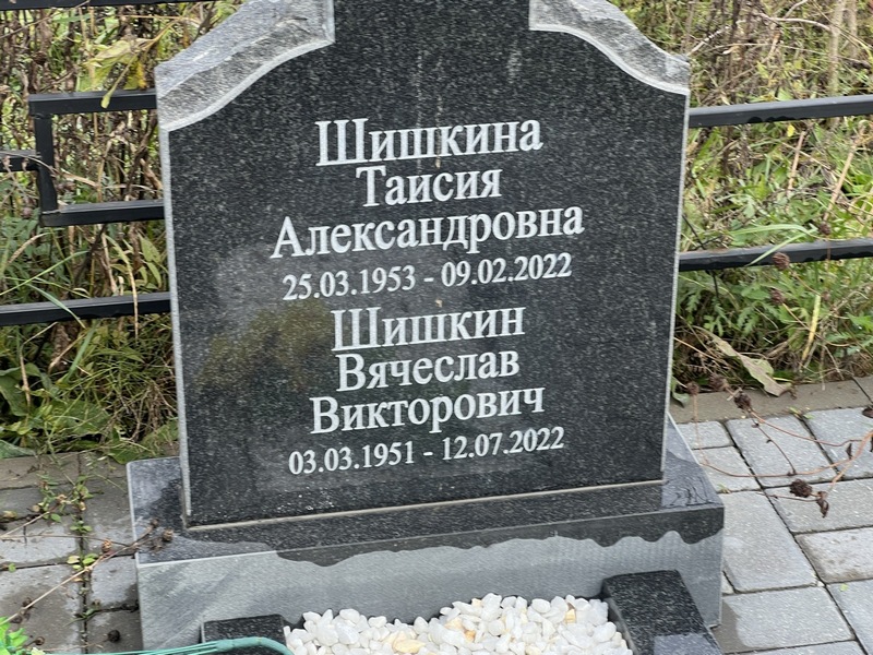 Шишкин