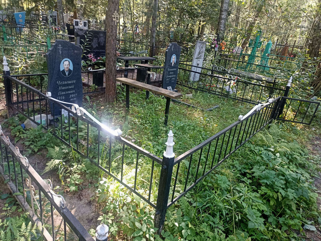 Челышев Николай Павлович
