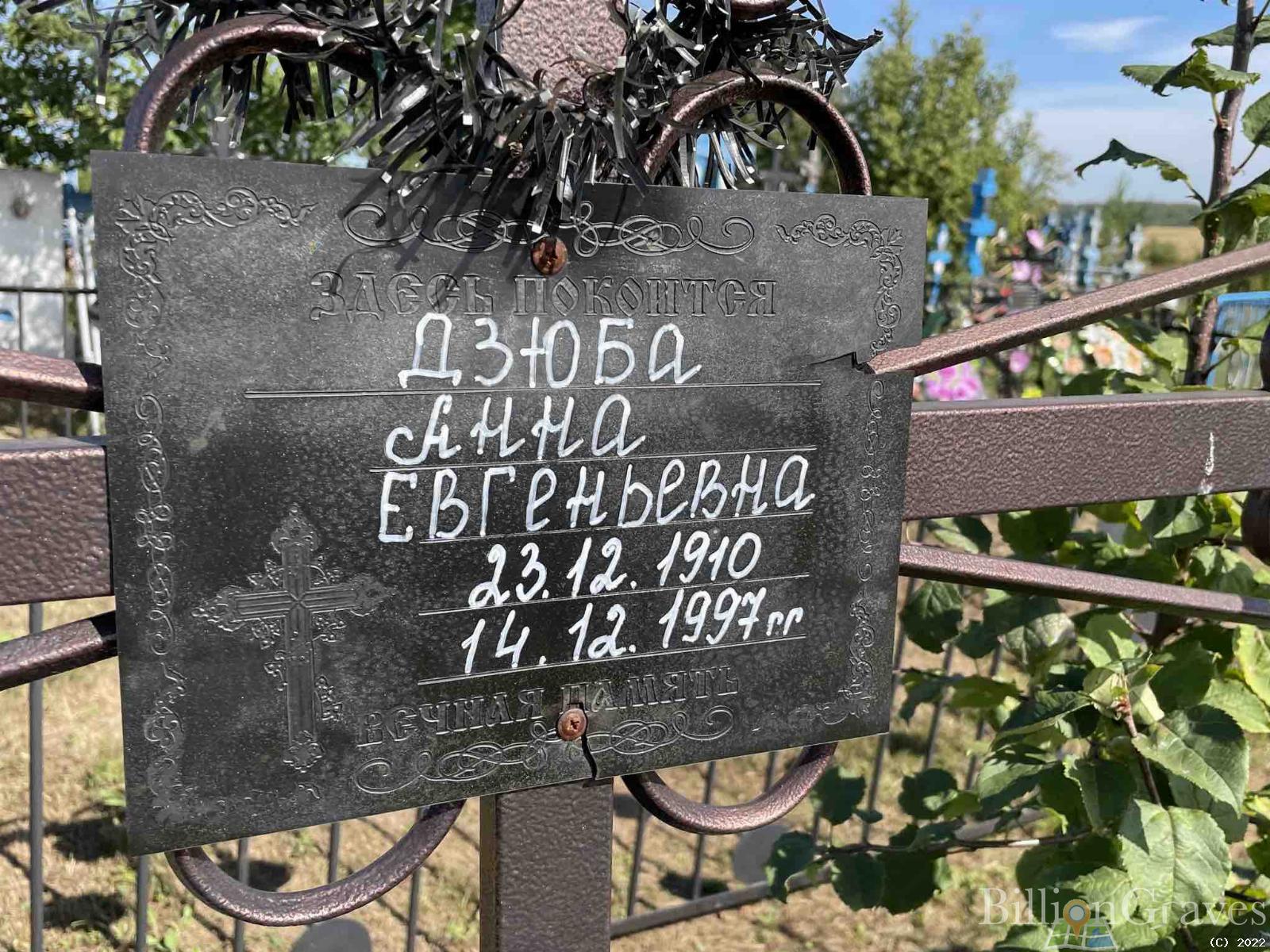 Дзюба Анна Евгеньевна