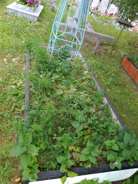 Сетая Пелагея Романовна