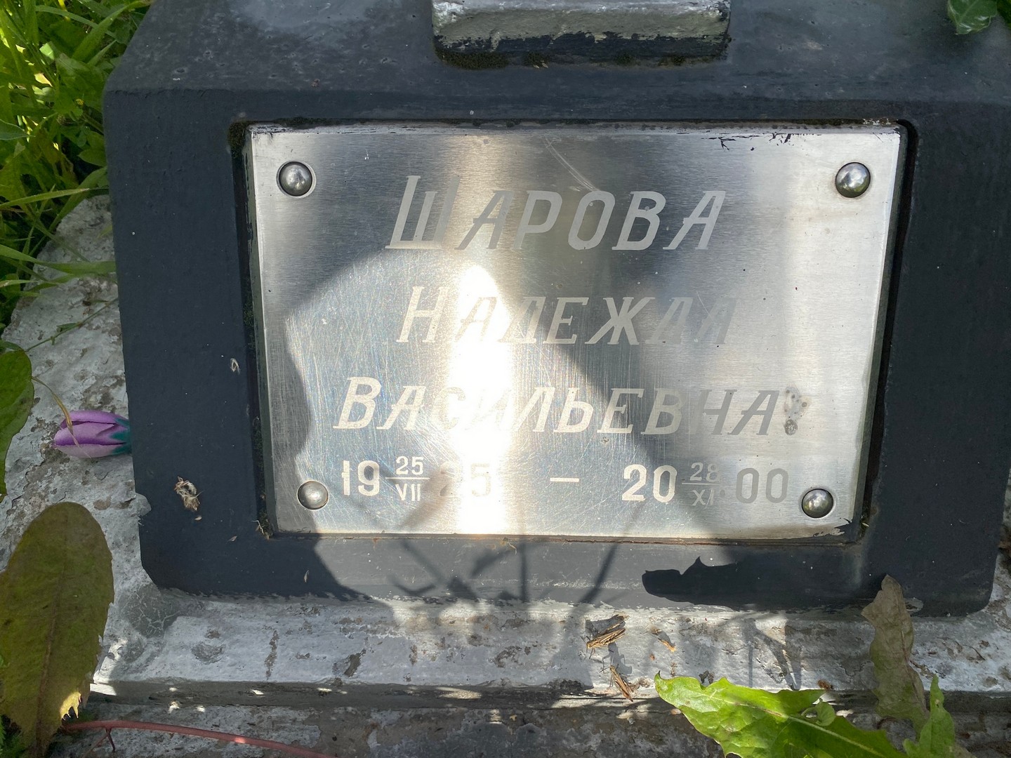 Шарова