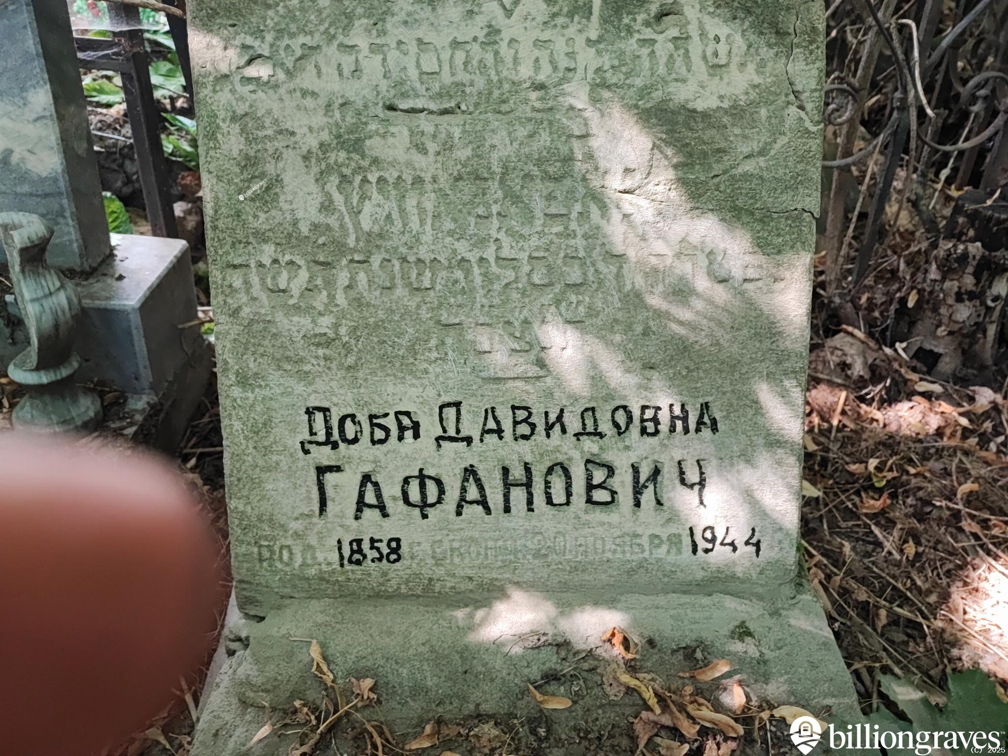 Гафанович Доба Давидовна