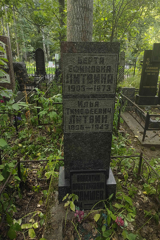 Литвин Илья Тимофеевич