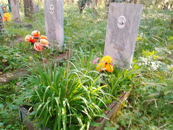 Назарова Акулина Саввична