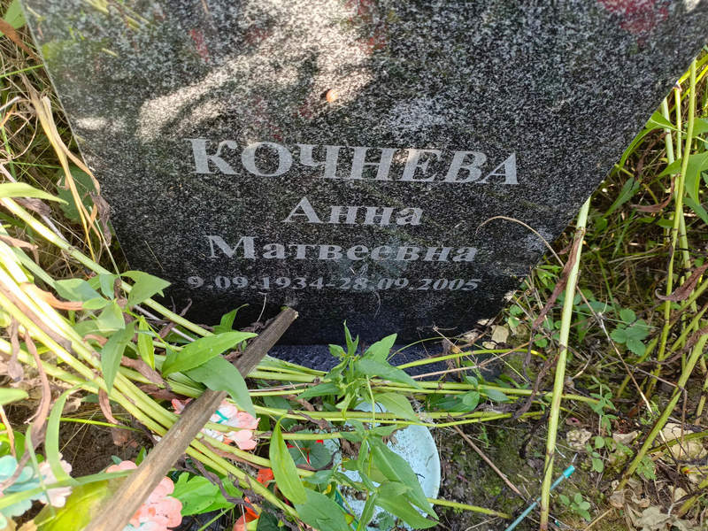 Кочнева