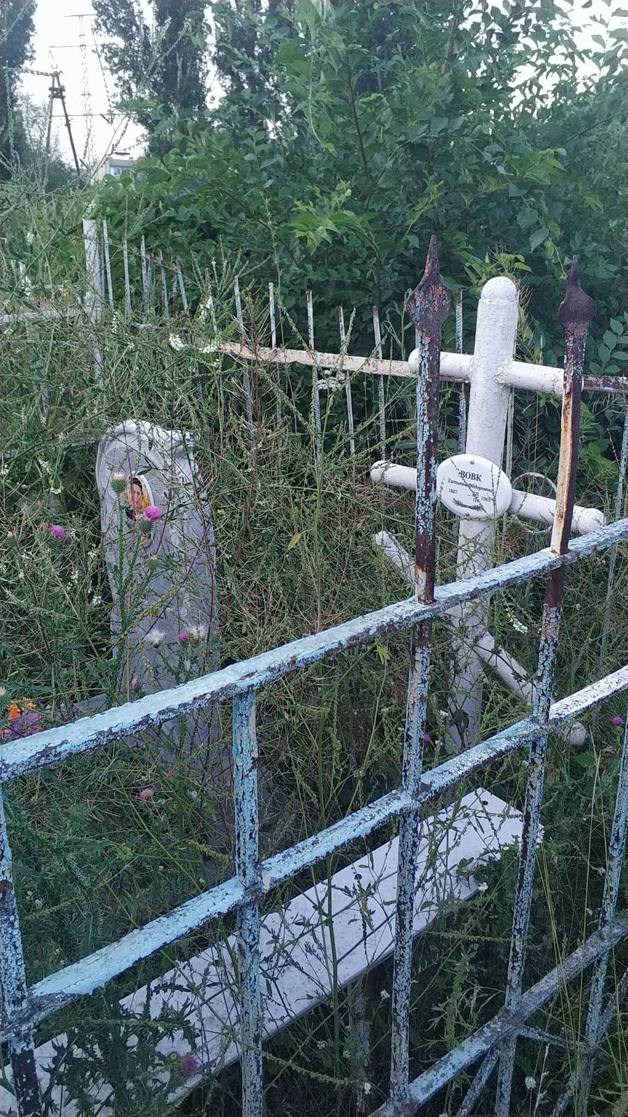Курдяев Владимир Петрович